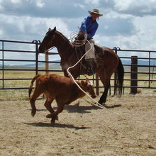 Ranch Rope Coil