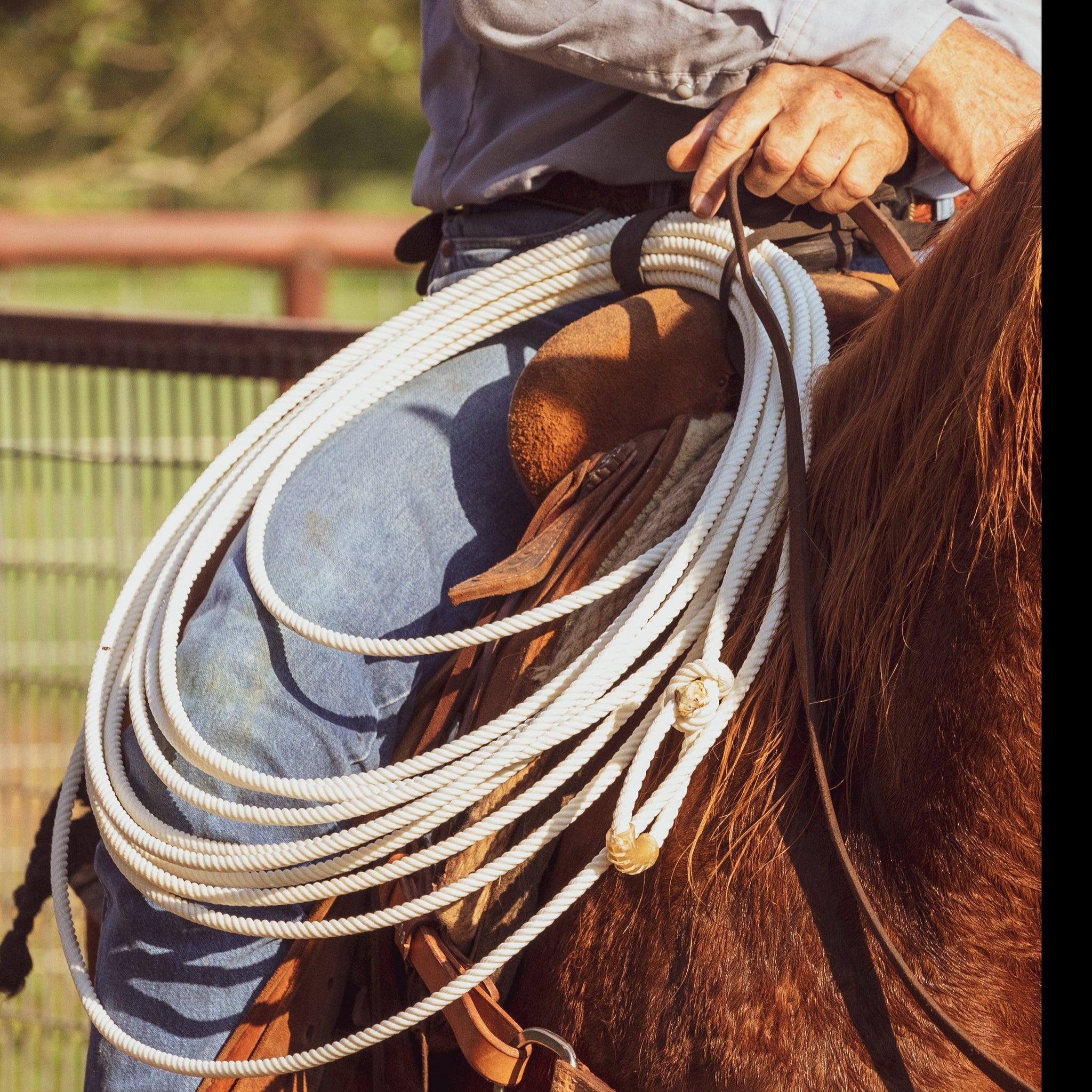 Ranch Rope – Precision Ropes Store